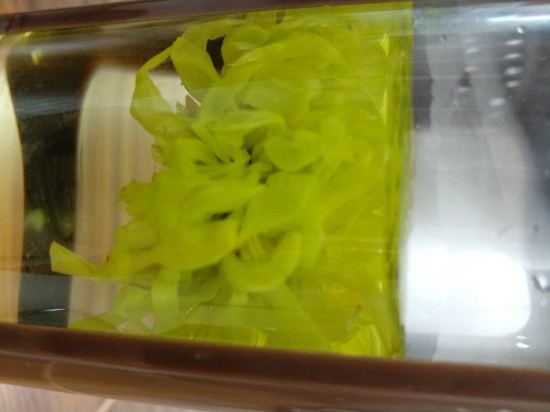 金丝皇菊