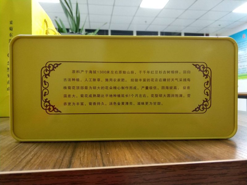 金丝皇菊