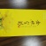 金丝皇菊