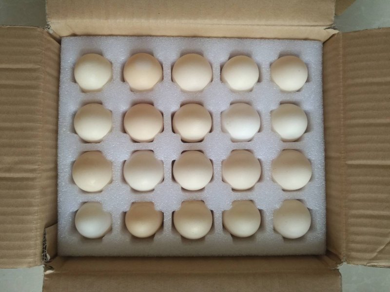 土鸡蛋