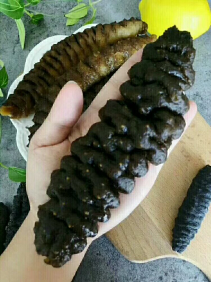 大海参
