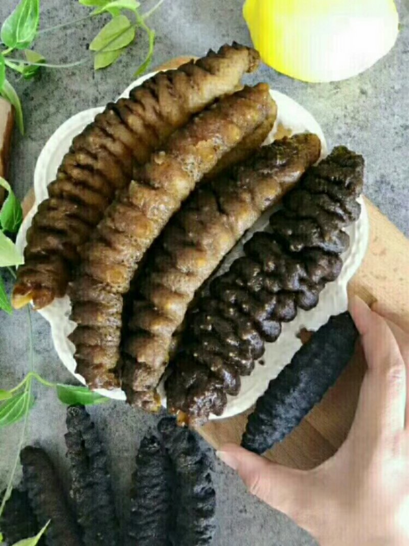 大海参