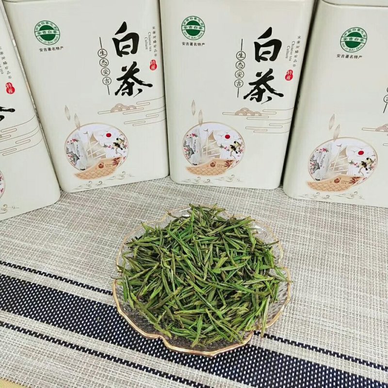 安吉白茶清香回甘雨前茶经济口粮茶