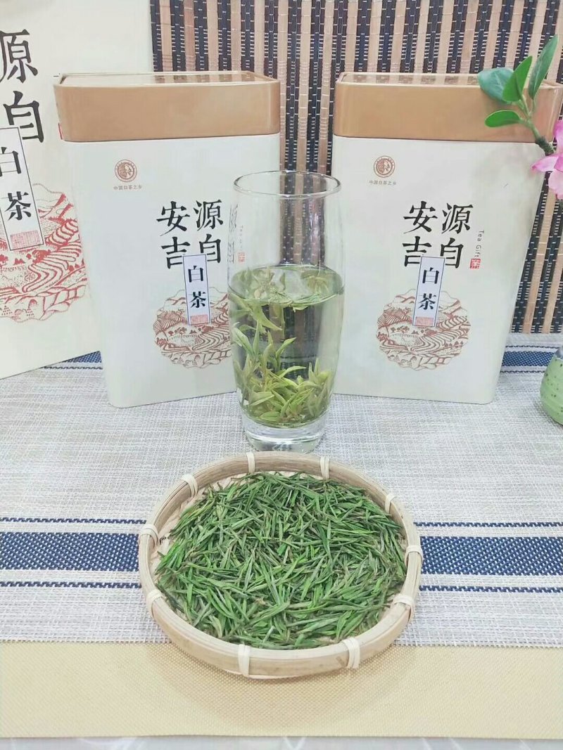 安吉白茶清香回甘雨前茶经济口粮茶
