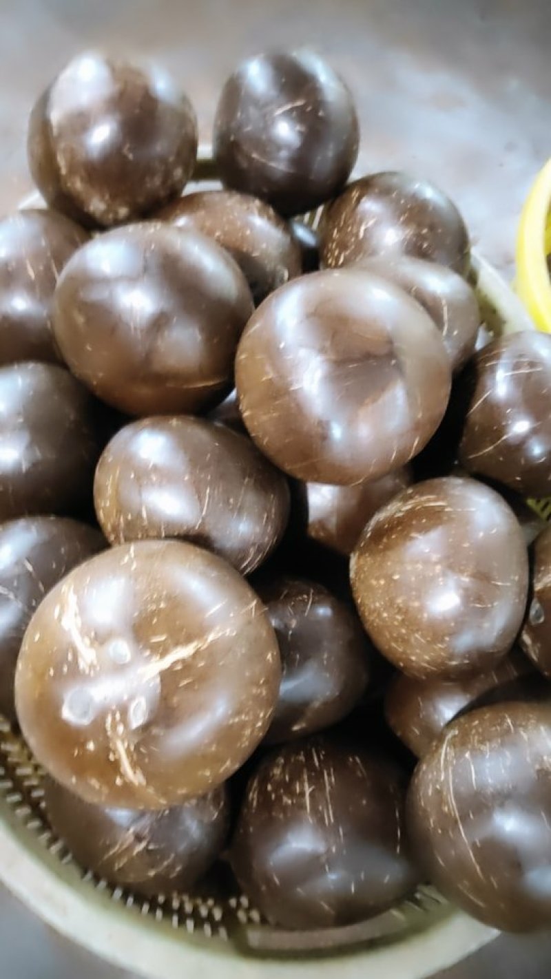 新鲜椰皇，大量生产，