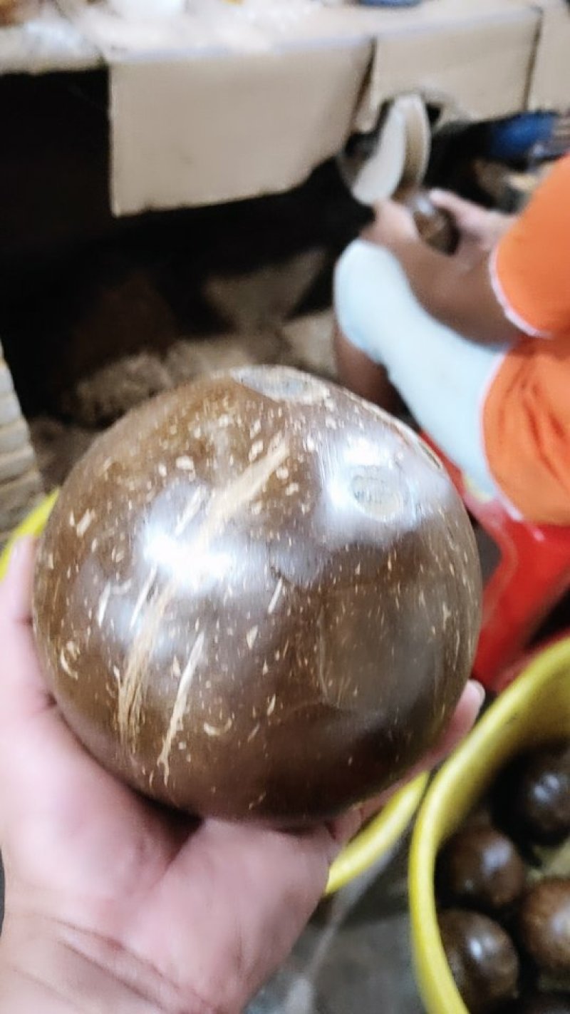 新鲜椰皇，大量生产，
