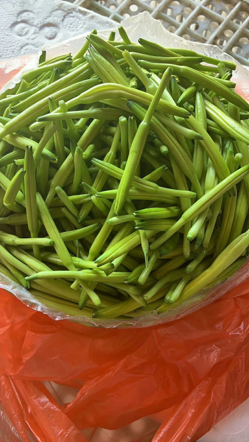 优质黄花菜鲜黄花菜，大量批发，散装，各种包装规格
