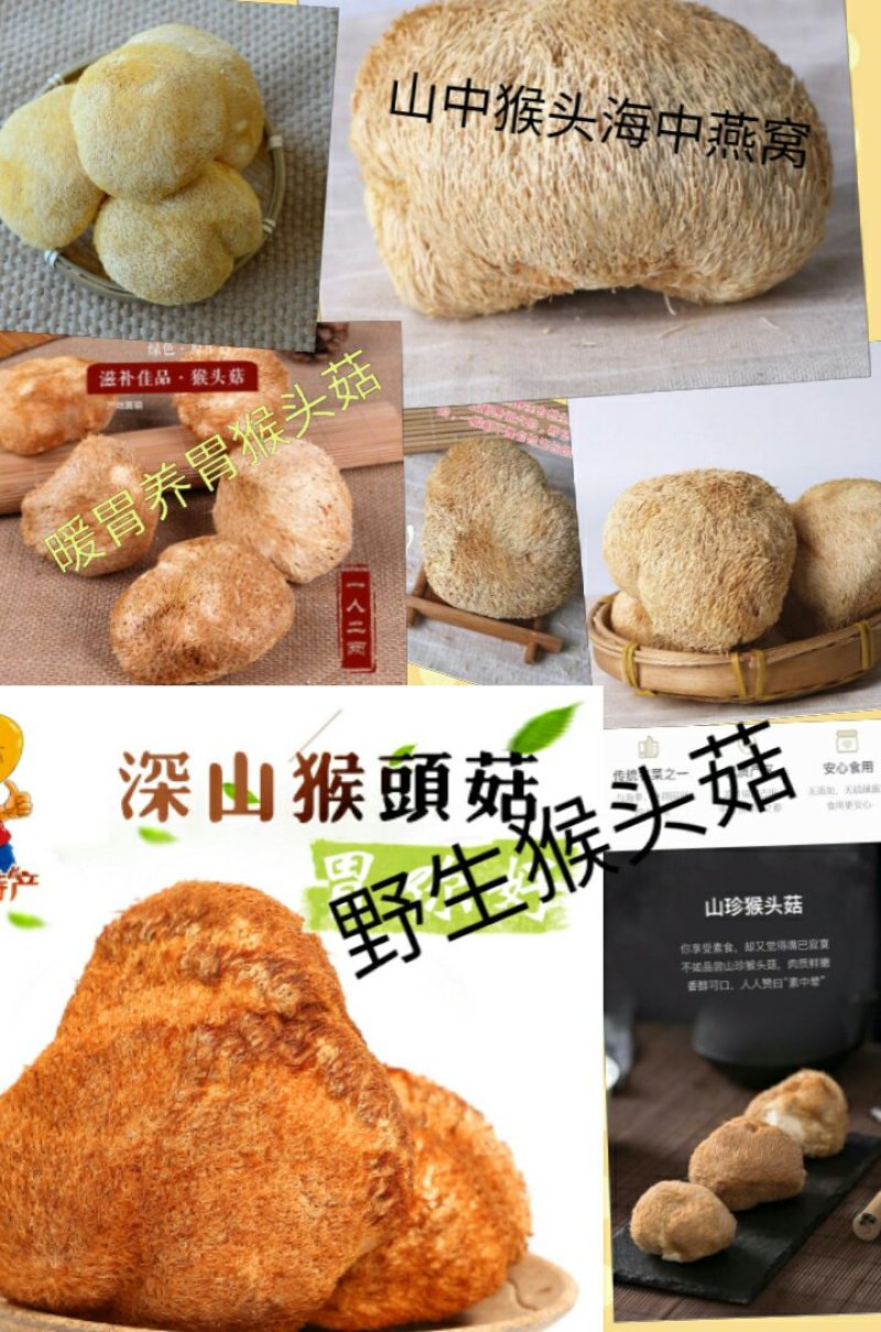 猴头菇山中珍品猴头菇干养胃猴头菇1斤包邮