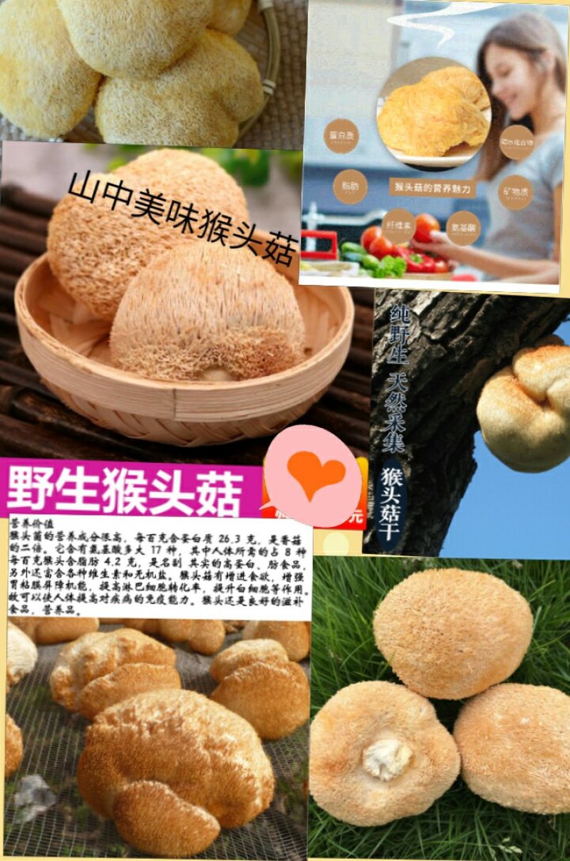 猴头菇山中珍品猴头菇干养胃猴头菇1斤包邮