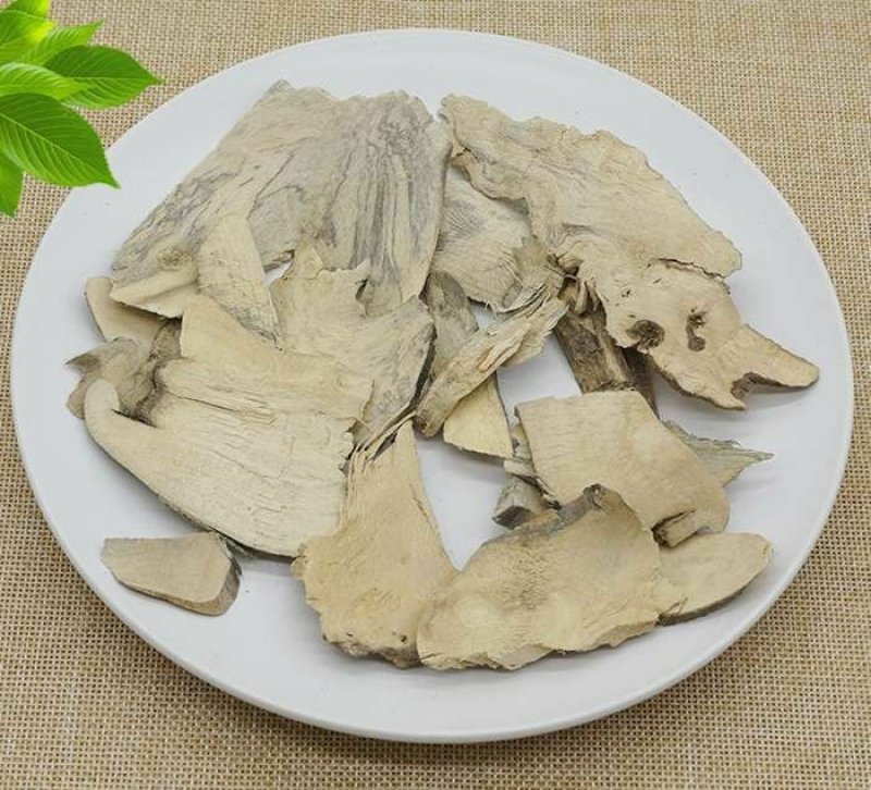 野生岗梅