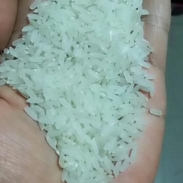 大米