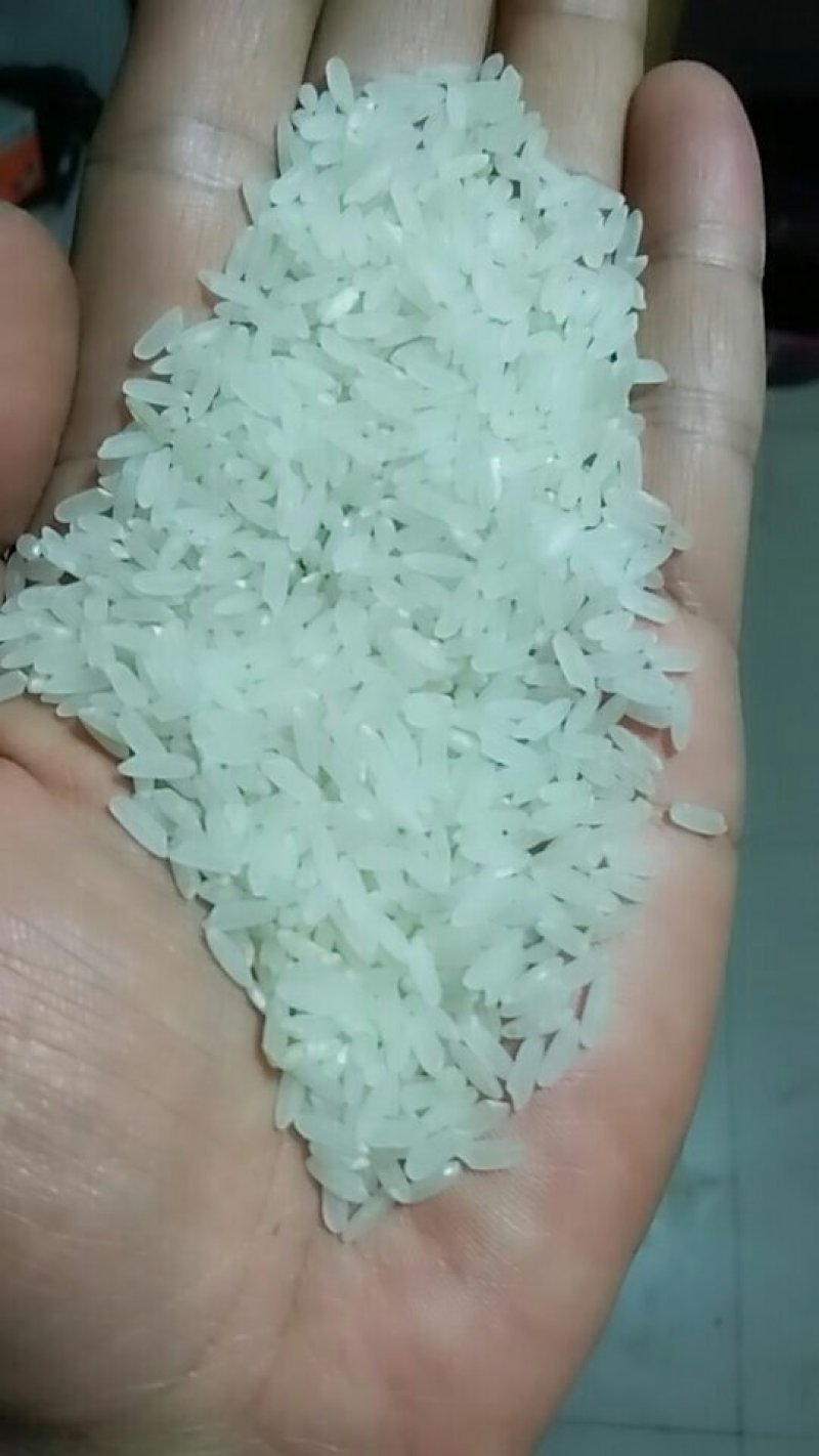 大米