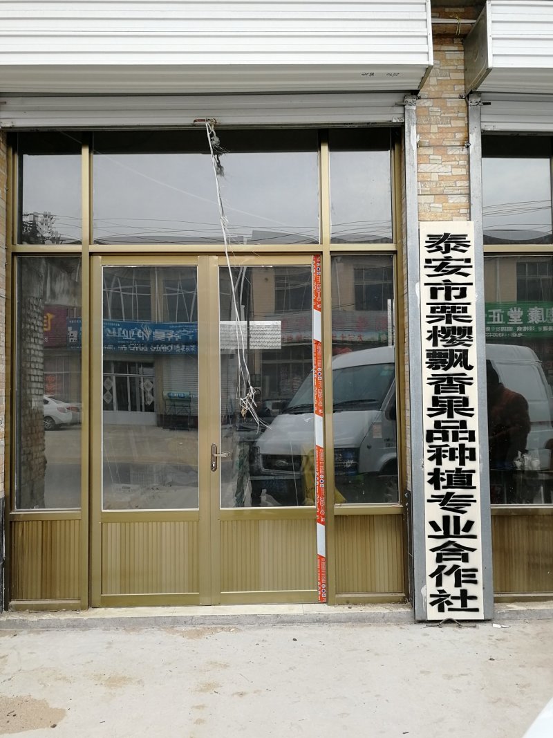 扒米，炒货用（35粒/斤）坏果不超一斤山东泰安产地直供