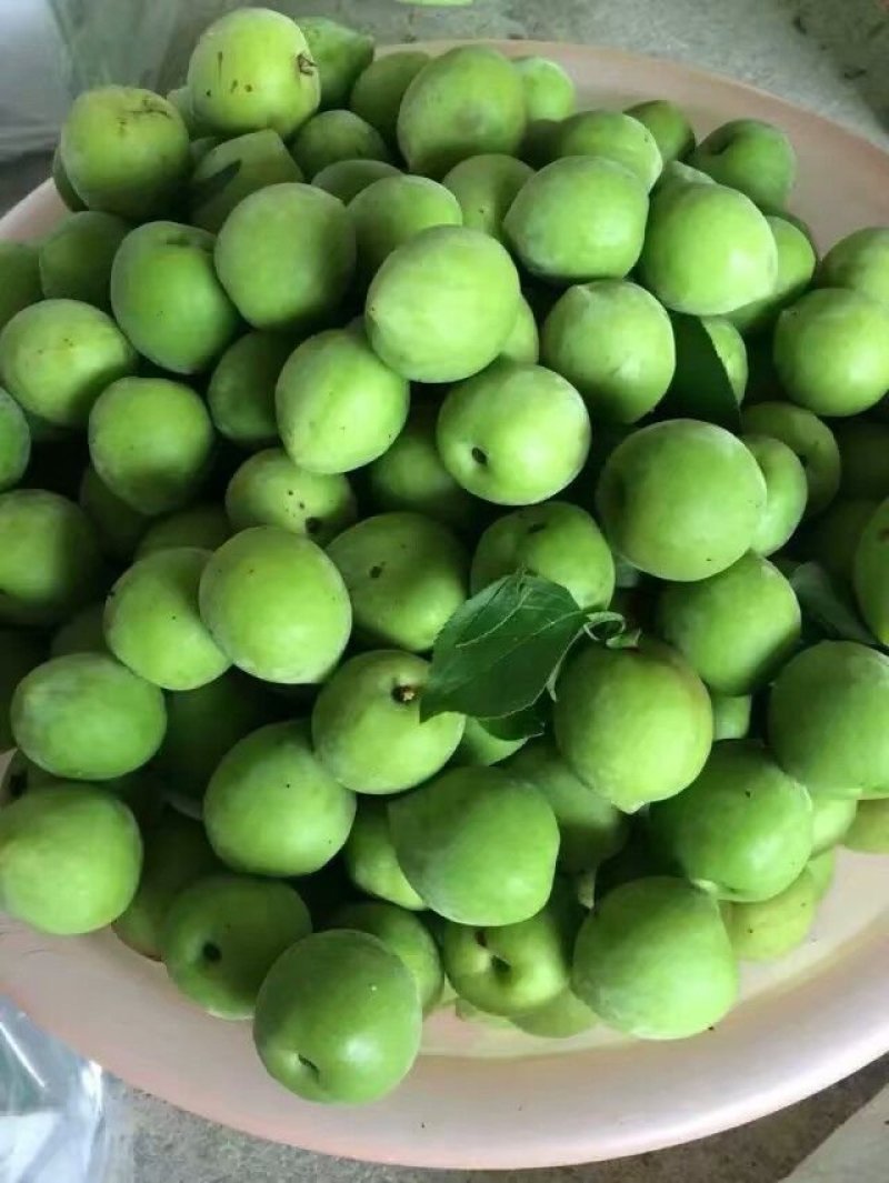 大青梅