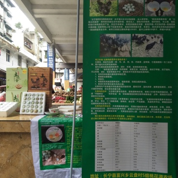长期出售土鸡蛋绿壳鸡蛋