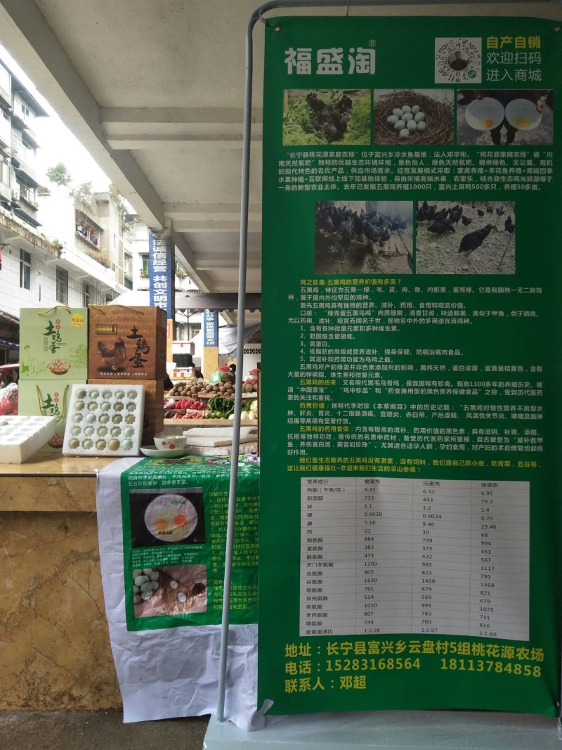 长期出售土鸡蛋绿壳鸡蛋