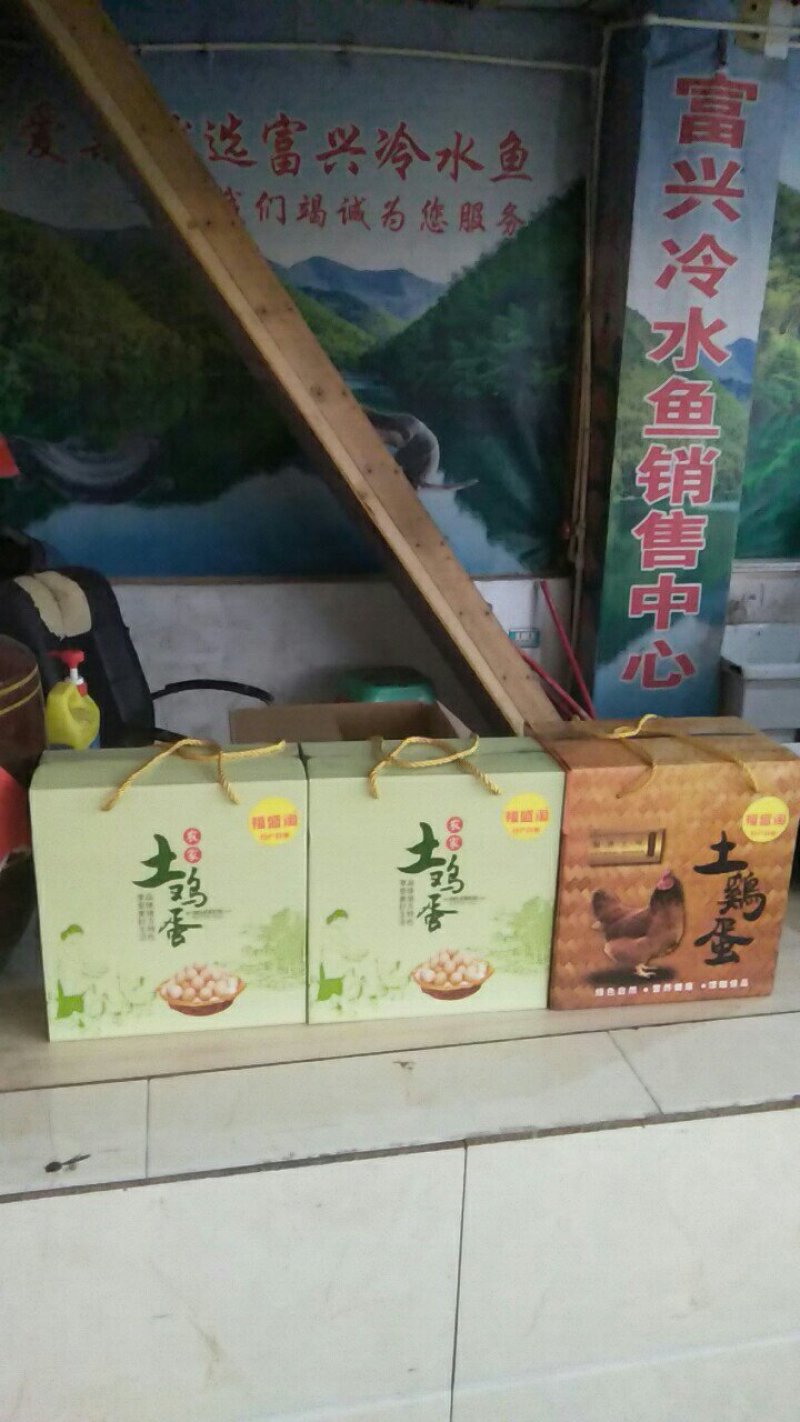 长期出售土鸡蛋绿壳鸡蛋