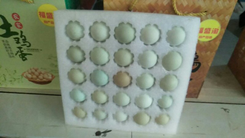 长期出售土鸡蛋绿壳鸡蛋