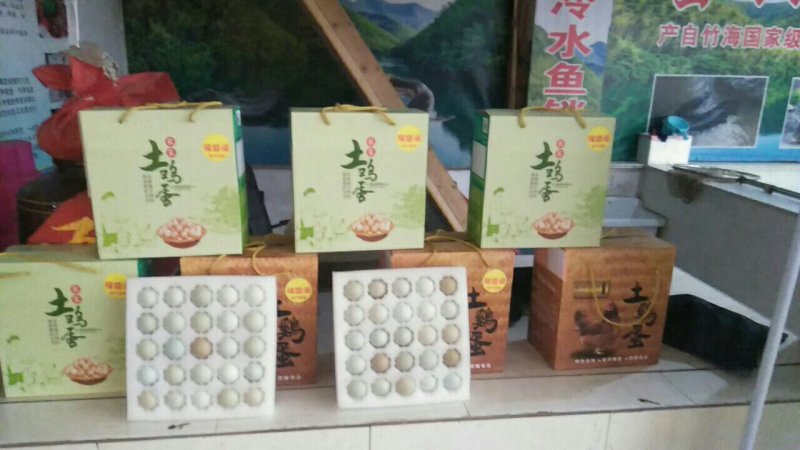 长期出售土鸡蛋绿壳鸡蛋
