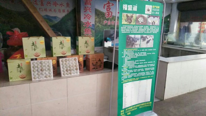 长期出售土鸡蛋绿壳鸡蛋
