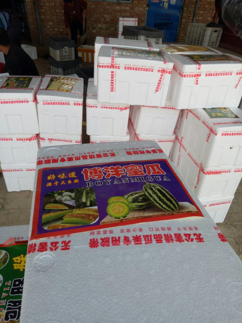 博洋61甜瓜，口感清脆甜爽，回味清香，产地直供，一手货源