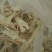 干甜苦笋苦笋玉兰片