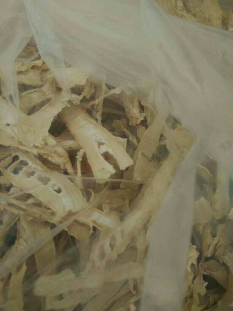 干甜苦笋苦笋玉兰片