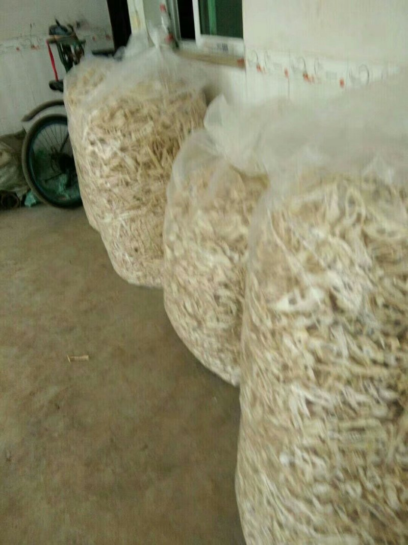干甜苦笋苦笋玉兰片