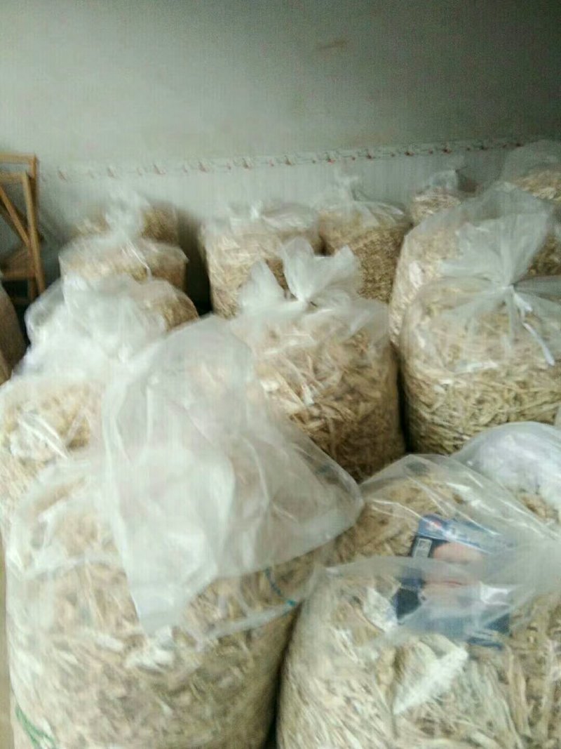 干甜苦笋苦笋玉兰片
