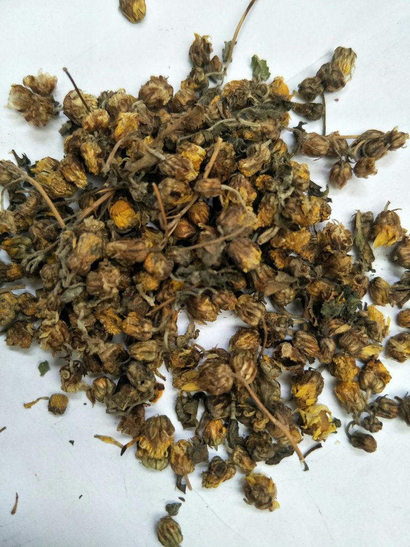 干野菊花