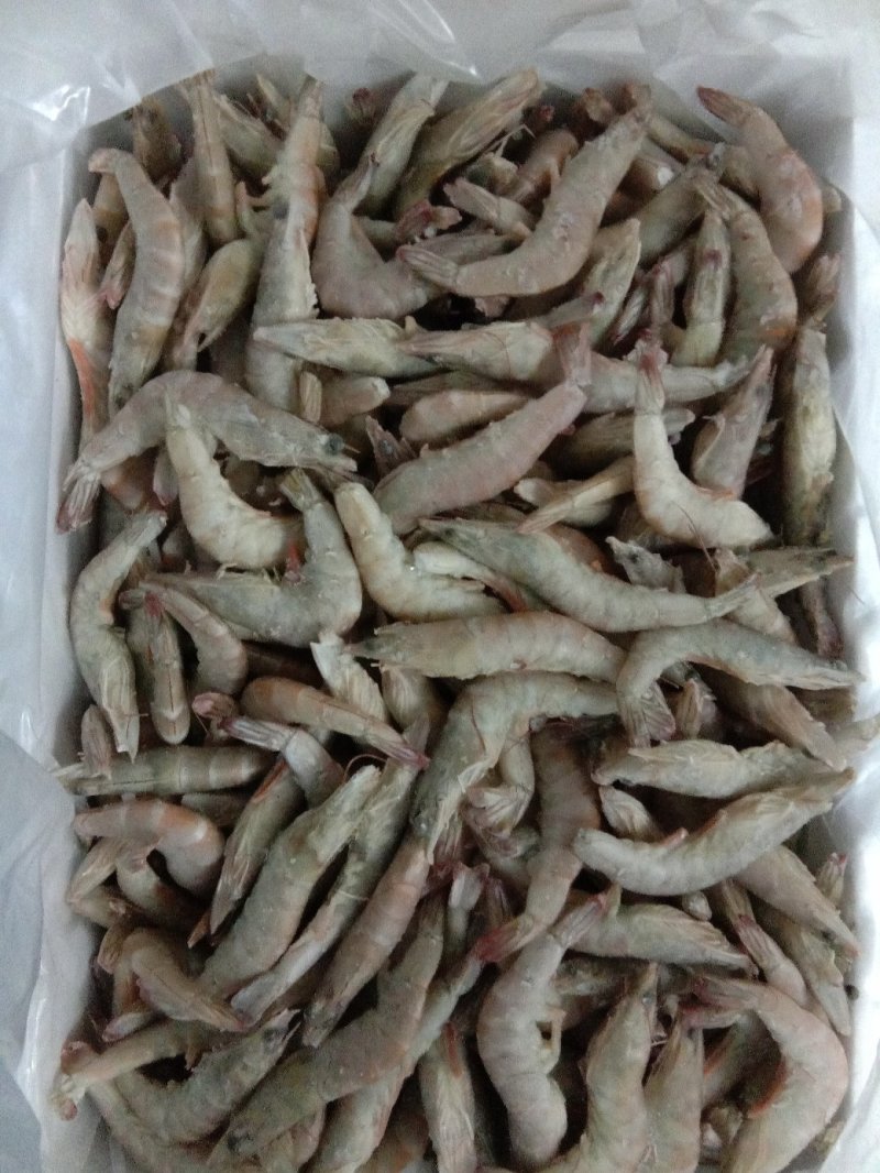 基围虾