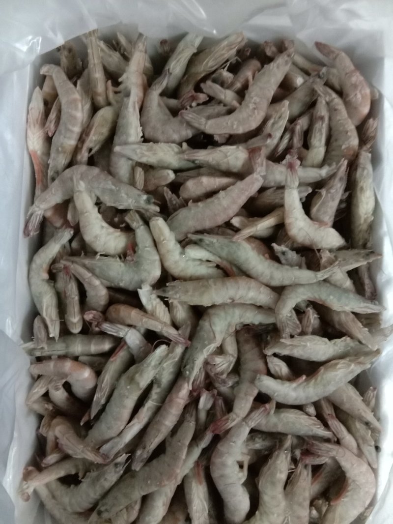 基围虾