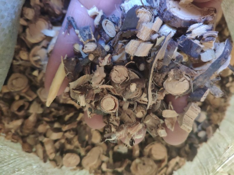 金雀儿根锦鸡儿金雀根货好量大不满意保退换