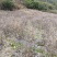 有好货：晋宁70亩耕地（水田、水浇地）低价出租，水源保证