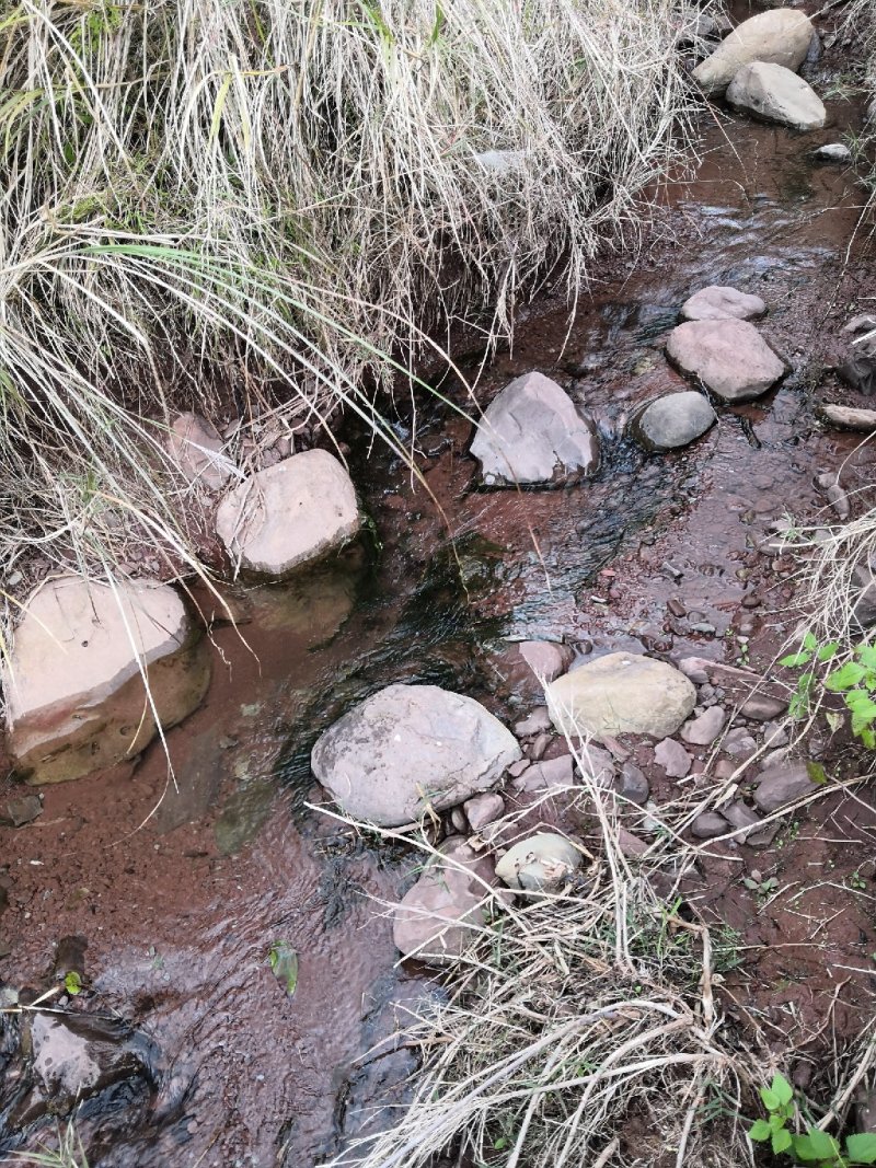 有好货：晋宁70亩耕地（水田、水浇地）低价出租，水源保证