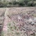 有好货：晋宁70亩耕地（水田、水浇地）低价出租，水源保证