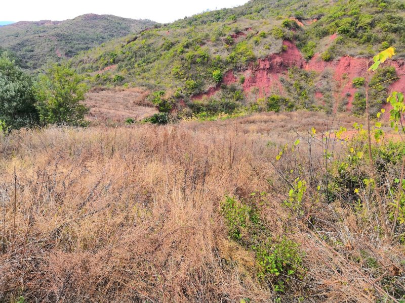 有好货：晋宁70亩耕地（水田、水浇地）低价出租，水源保证