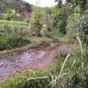 有好货：晋宁70亩耕地（水田、水浇地）低价出租，水源保证