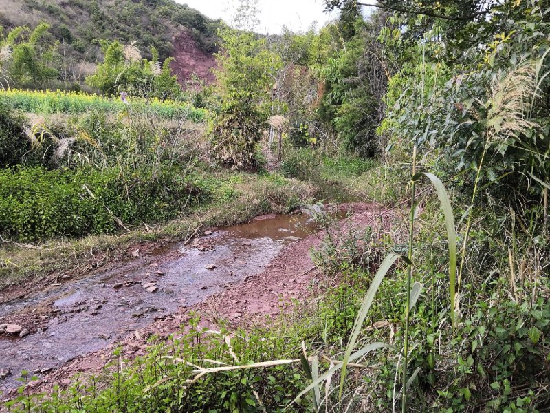 有好货：晋宁70亩耕地（水田、水浇地）低价出租，水源保证