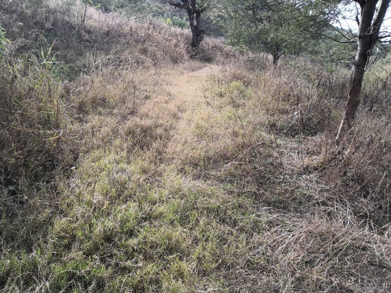 有好货：晋宁70亩耕地（水田、水浇地）低价出租，水源保证