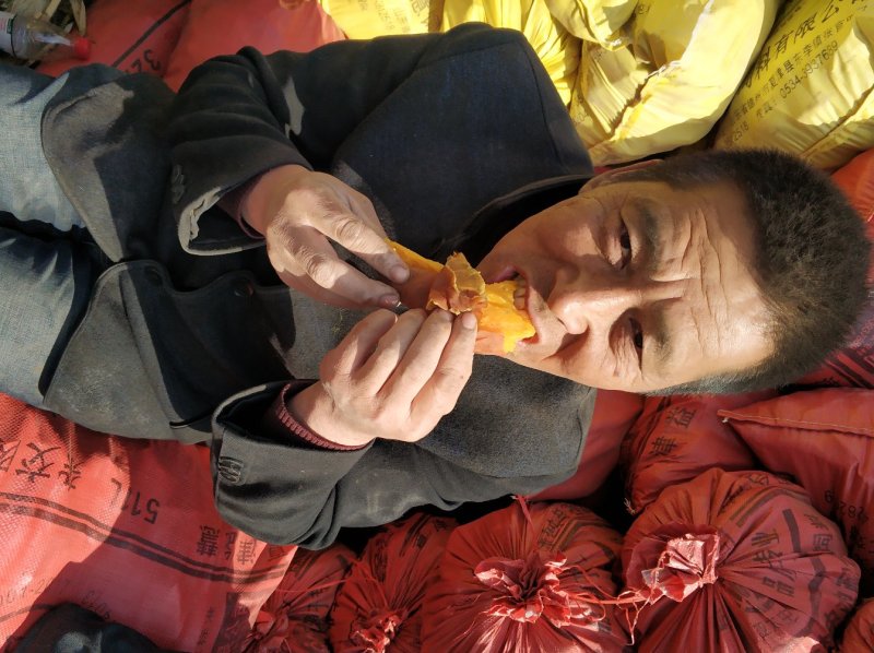 辽宁锦州北镇红旗沟102国道旁出售地瓜苗