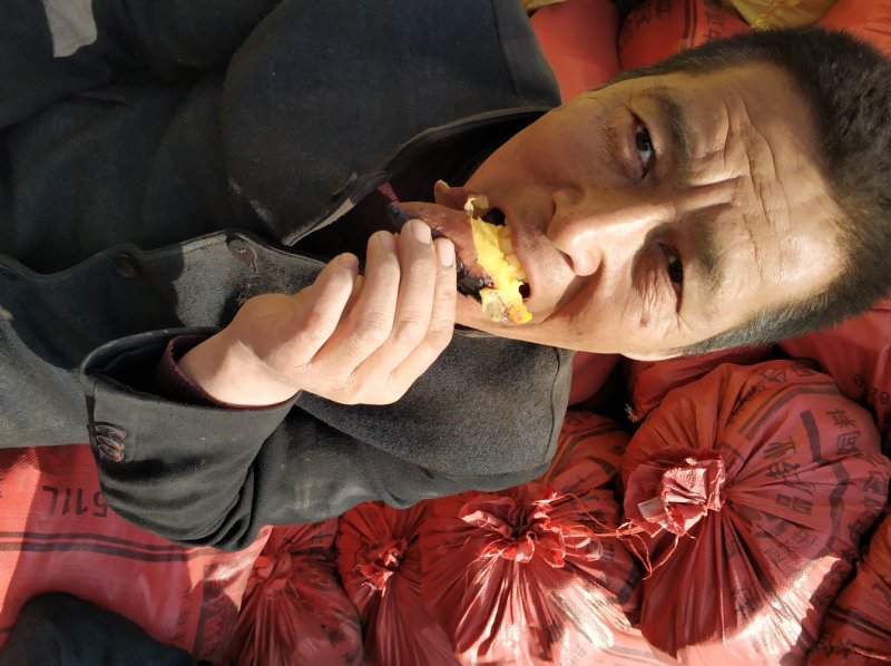 辽宁锦州北镇红旗沟102国道旁出售地瓜苗