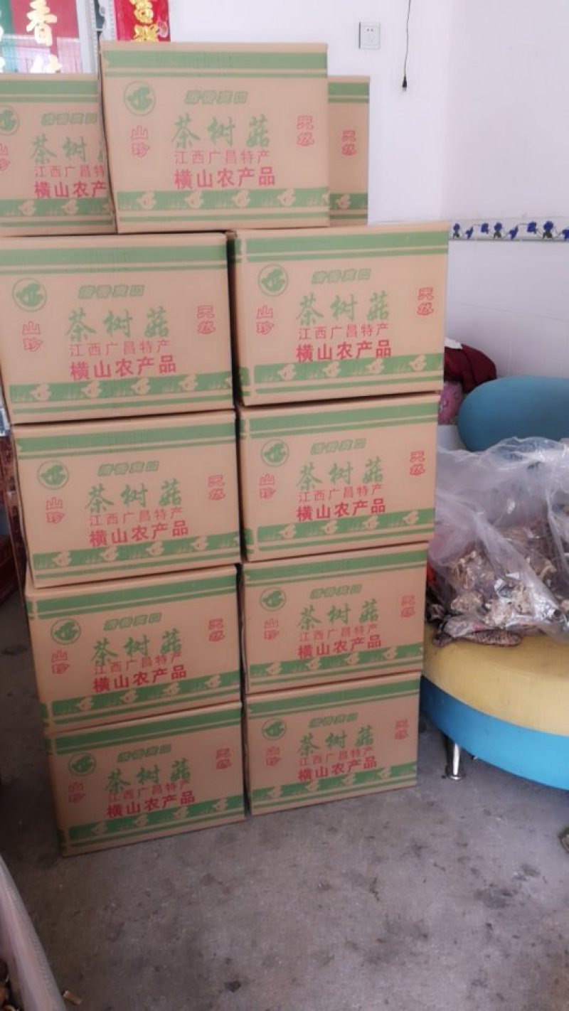 广昌特级茶树菇干货不开伞剪脚扎把产地直销食用菌批发