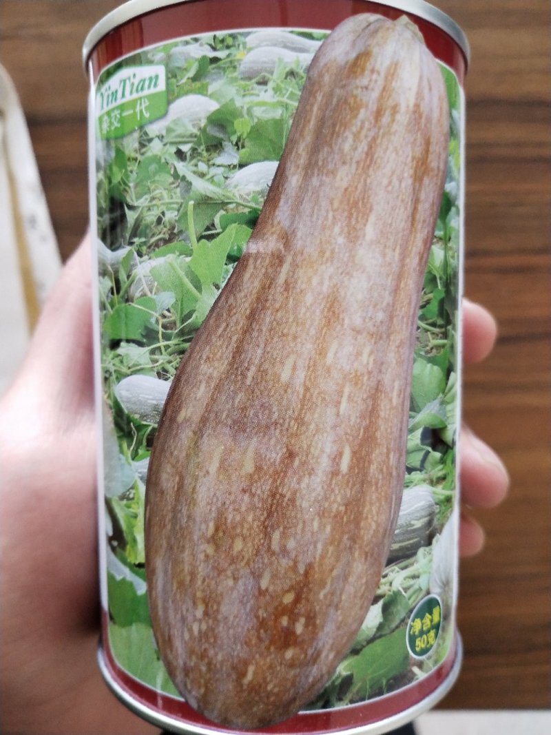 蜜本南瓜种子