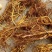 白花牛奶根鲜货野生