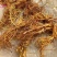 白花牛奶根鲜货野生