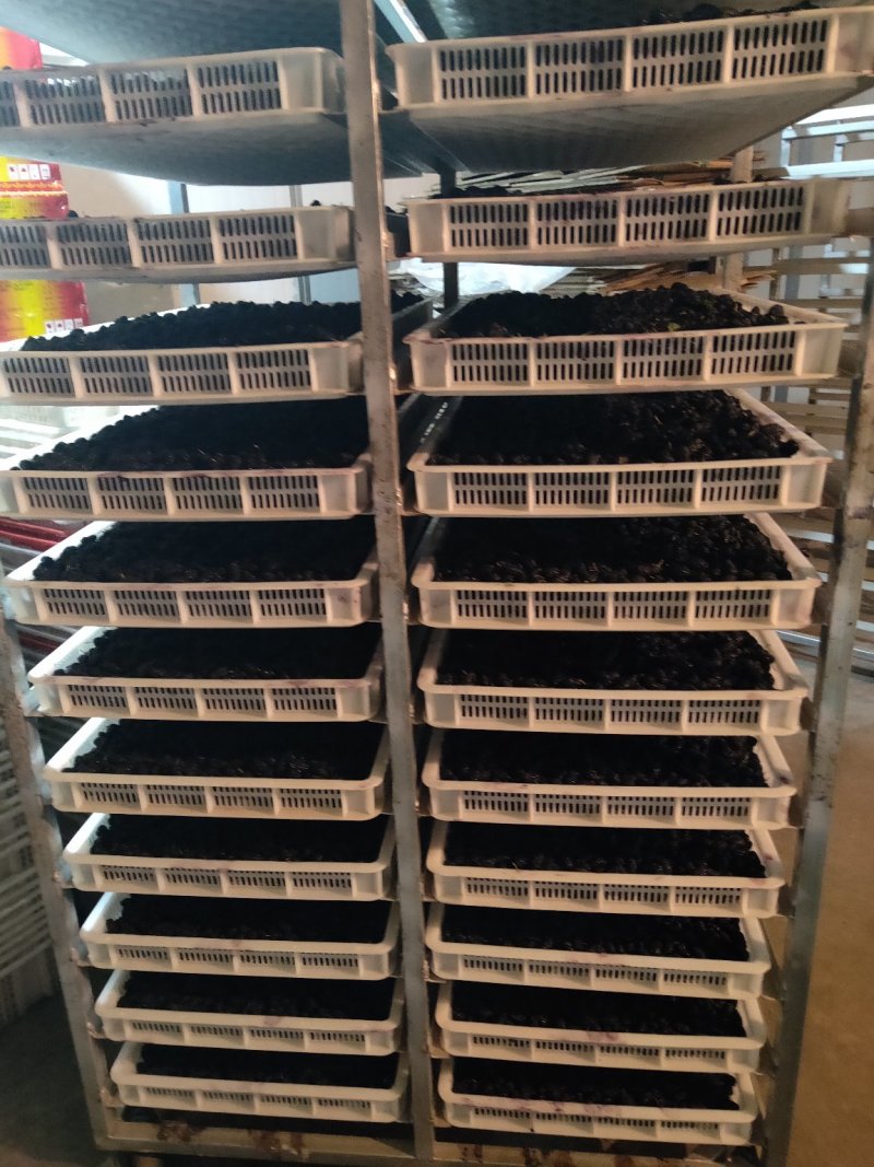 四川攀枝花桑葚干，水洗食品用桑葚干，价格不高，一件代发！