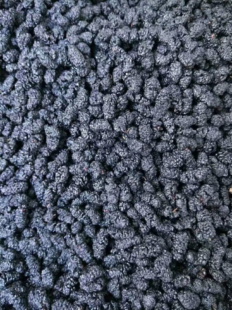 四川攀枝花桑葚干，水洗食品用桑葚干，价格不高，一件代发！