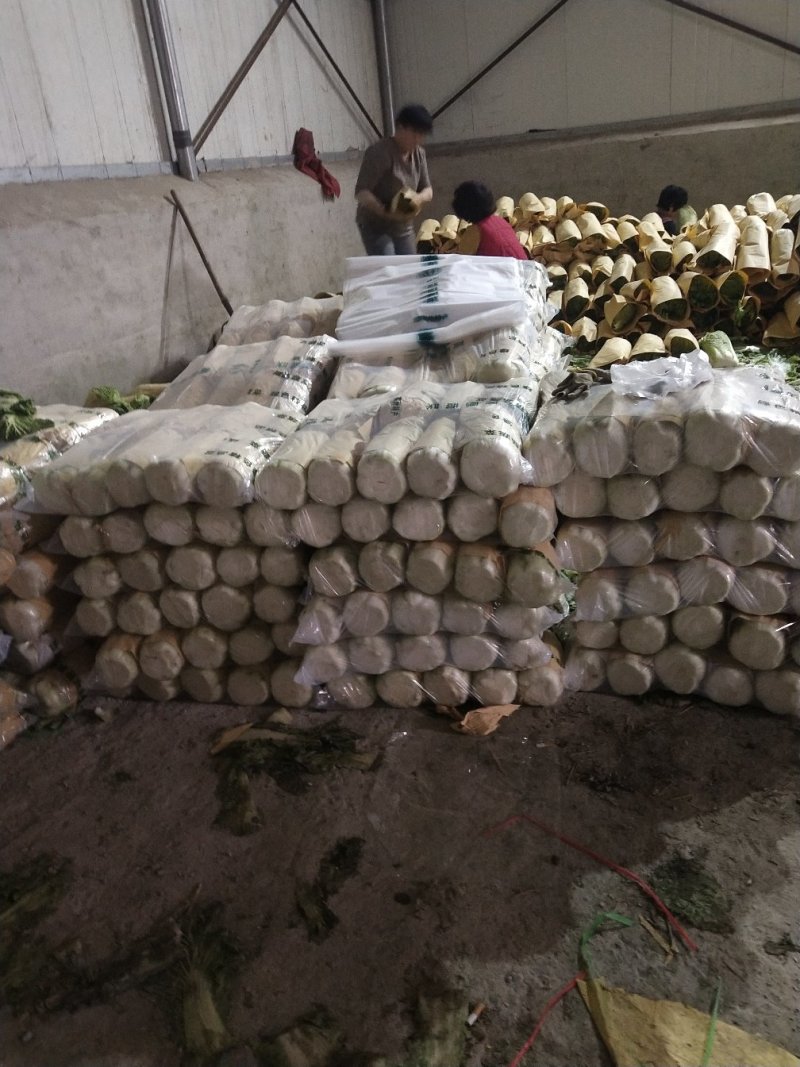 大量供应储存白菜4到6斤色绿心足