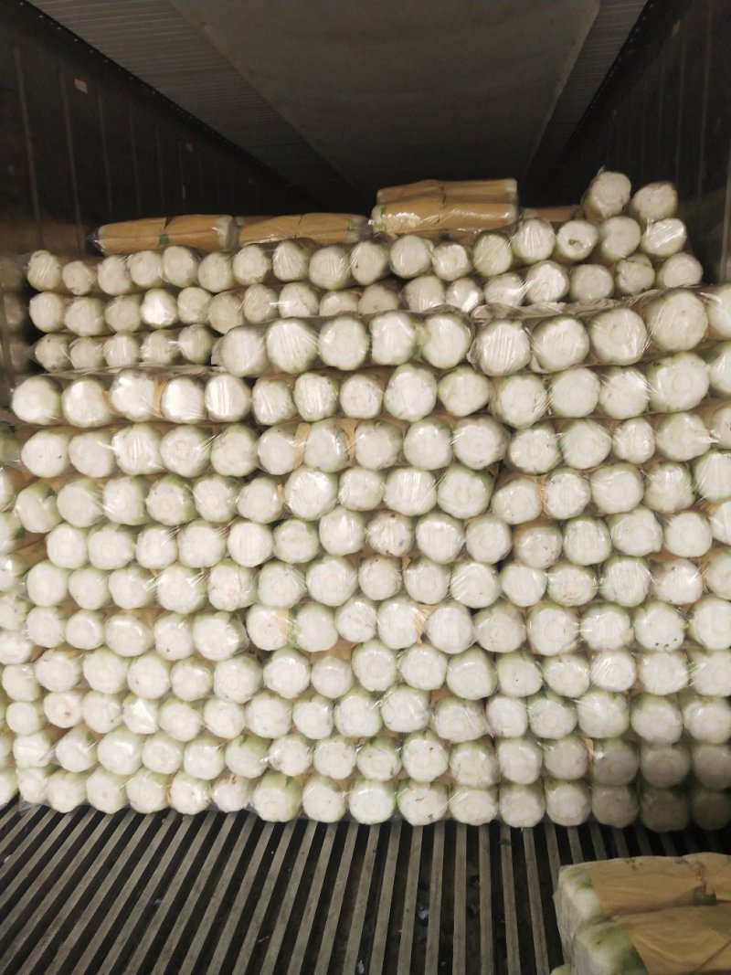 大量供应储存白菜4到6斤色绿心足